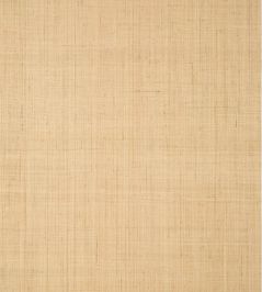 Bethany Raffia Wallpaper by Thibaut Natural Bethany Raffia Wallpaper by Thibaut Natural