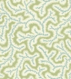 Big Dulcie Wallpaper by Ian Sanderson Apple Big Dulcie Wallpaper by Ian Sanderson Apple