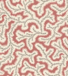 Big Dulcie Wallpaper by Ian Sanderson Coral Big Dulcie Wallpaper by Ian Sanderson Coral