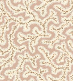 Big Dulcie Wallpaper by Ian Sanderson Shrimp Big Dulcie Wallpaper by Ian Sanderson Shrimp