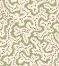 Big Dulcie Wallpaper by Ian Sanderson Sweet Pea Big Dulcie Wallpaper by Ian Sanderson Sweet Pea