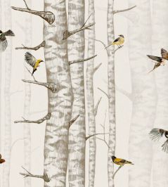 Birch Trees Wallpaper by Coordonne Beige Birch Trees Wallpaper by Coordonne Beige