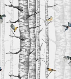 Birch Trees Wallpaper by Coordonne Grey Birch Trees Wallpaper by Coordonne Grey