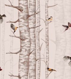 Birch Trees Wallpaper by Coordonne Pink Birch Trees Wallpaper by Coordonne Pink