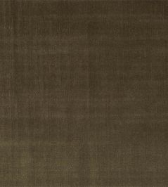 Birodo Fabric by Zoffany Antelope Birodo Fabric by Zoffany Antelope