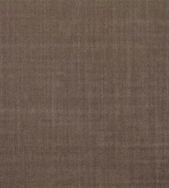 Birodo Fabric by Zoffany Sable Birodo Fabric by Zoffany Sable
