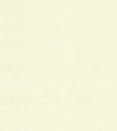 Blackout Lining - Ivory by JC Ivory Blackout Lining - Ivory by JC Ivory