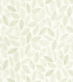 Bliss Wallpaper by Caselio Blanc Vert Mousse Bliss Wallpaper by Caselio Blanc Vert Mousse