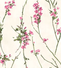 Blossom Wallpaper by Woodchip & Magnolia Pink on Cream Blossom Wallpaper by Woodchip & Magnolia Pink on Cream