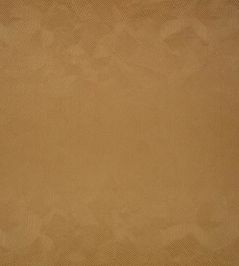 Boa Fabric by Black Edition Cumin Boa Fabric by Black Edition Cumin