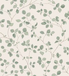 Bokskog Wallpaper by Sandberg Garden Green Bokskog Wallpaper by Sandberg Garden Green