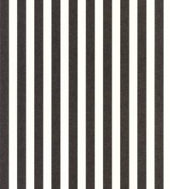 Bold Line Wallpaper by Caselio Noir Bold Line Wallpaper by Caselio Noir