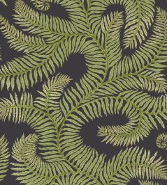 Bombe's Fernery Wallpaper by Josephine Munsey Dark Grey and Green Bombe's Fernery Wallpaper by Josephine Munsey Dark Grey and Green