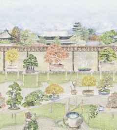 Bonsai Garden Mural by Cole & Son Vivid Bonsai Garden Mural by Cole & Son Vivid