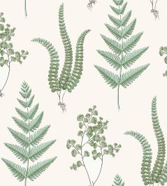 Herba Wallpaper by Borastapeter 57 Herba Wallpaper by Borastapeter 57