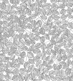 Romans Wallpaper by Borastapeter 66 Romans Wallpaper by Borastapeter 66