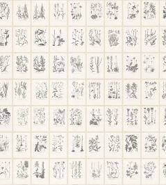 Botanica Mural by Sandberg Graphite Botanica Mural by Sandberg Graphite