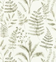 Bracken Wallpaper by Clarke & Clarke Natural Bracken Wallpaper by Clarke & Clarke Natural