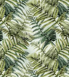 Bridgewater Fern Wallpaper by Avalana Spring Bridgewater Fern Wallpaper by Avalana Spring