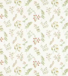 Brigitte Fabric by Clarke & Clarke Spice Brigitte Fabric by Clarke & Clarke Spice