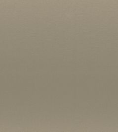 Brooks Fabric by Casamance Grege Brooks Fabric by Casamance Grege