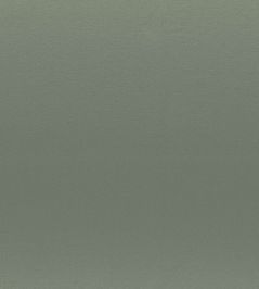 Brooks Fabric by Casamance Vert Amande Brooks Fabric by Casamance Vert Amande