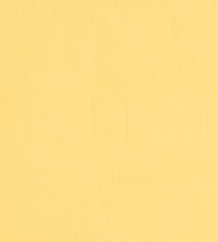 Brynn Fabric by Thibaut Daisy Brynn Fabric by Thibaut Daisy