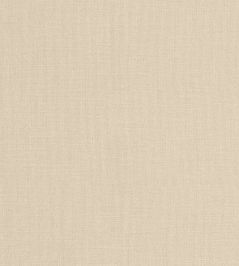 Brynn Fabric by Thibaut Sand Brynn Fabric by Thibaut Sand