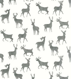 Bucks Wallpaper by Thibaut Basalt Black Bucks Wallpaper by Thibaut Basalt Black