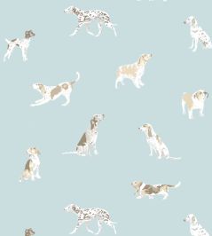 Buddy Wallpaper by Anna French Robin's Egg Buddy Wallpaper by Anna French Robin's Egg