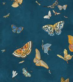 Butterflies Wallpaper by Josephine Munsey Bright Navy Butterflies Wallpaper by Josephine Munsey Bright Navy
