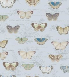 Butterfly Studies Wallpaper by Designers Guild Cloud Blue Butterfly Studies Wallpaper by Designers Guild Cloud Blue
