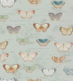 Butterfly Studies Wallpaper by Designers Guild Eau De Nil Butterfly Studies Wallpaper by Designers Guild Eau De Nil