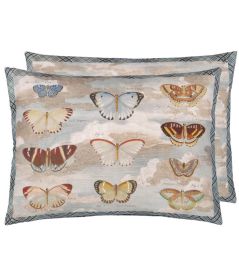 Butterfly Studies Cushion 60 x 45cm by Designers Guild Parchment Butterfly Studies Cushion 60 x 45cm by Designers Guild Parchment