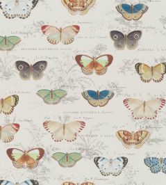 Butterfly Studies Wallpaper by Designers Guild Parchment Butterfly Studies Wallpaper by Designers Guild Parchment