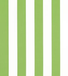 Cabana Stripe Fabric by Thibaut Kiwi Cabana Stripe Fabric by Thibaut Kiwi