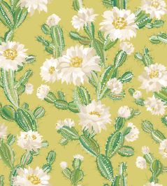 Cactus Bloom Wallpaper by Ohpopsi Chartreuse Cactus Bloom Wallpaper by Ohpopsi Chartreuse