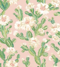Cactus Bloom Wallpaper by Ohpopsi Coco Blush Cactus Bloom Wallpaper by Ohpopsi Coco Blush