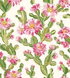 Cactus Bloom Wallpaper by Ohpopsi Rasperry Ripple Cactus Bloom Wallpaper by Ohpopsi Rasperry Ripple