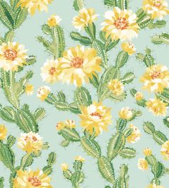 Cactus Bloom Wallpaper by Ohpopsi Sunshine Cactus Bloom Wallpaper by Ohpopsi Sunshine