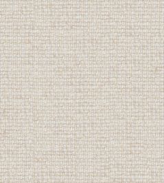Camana Fabric by Prestigious Textiles Fossil Camana Fabric by Prestigious Textiles Fossil