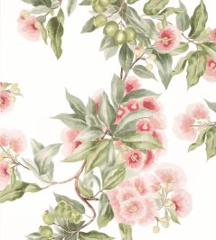 Camellia Garden Wallpaper by Anna French Coral Camellia Garden Wallpaper by Anna French Coral