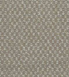 Canna Fabric by Osborne & Little Mole Canna Fabric by Osborne & Little Mole