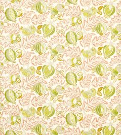 Cantaloupe Outdoor Fabric by Sanderson Matcha/Conch Cantaloupe Outdoor Fabric by Sanderson Matcha/Conch