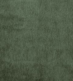 Cape Mohair Fabric by Warwick Thyme Cape Mohair Fabric by Warwick Thyme