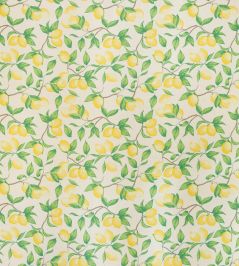 Capri Lemon Fabric by Barneby Gates Cream Capri Lemon Fabric by Barneby Gates Cream