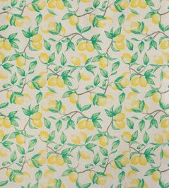 Capri Lemon Fabric by Barneby Gates Natural Capri Lemon Fabric by Barneby Gates Natural