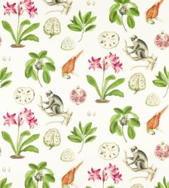 Capuchins Fabric by Sanderson Multi Capuchins Fabric by Sanderson Multi