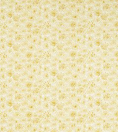Cara Fabric by Clarke & Clarke Sunshine Cara Fabric by Clarke & Clarke Sunshine