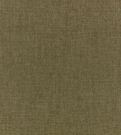 Carallio Fabric by Zinc Cypress Carallio Fabric by Zinc Cypress